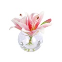 Soft Tiger Lily Pink In Bubble