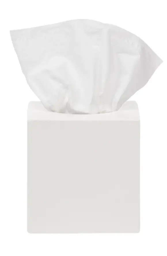 Pigeon and Poodle Cordoba Square Tissue Box, White Burlap Ceramic