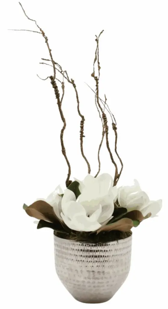 Soft Mangolia Flowers With Twig Vine In Silver Planter 