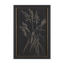 Mercana Golden Grasses VI