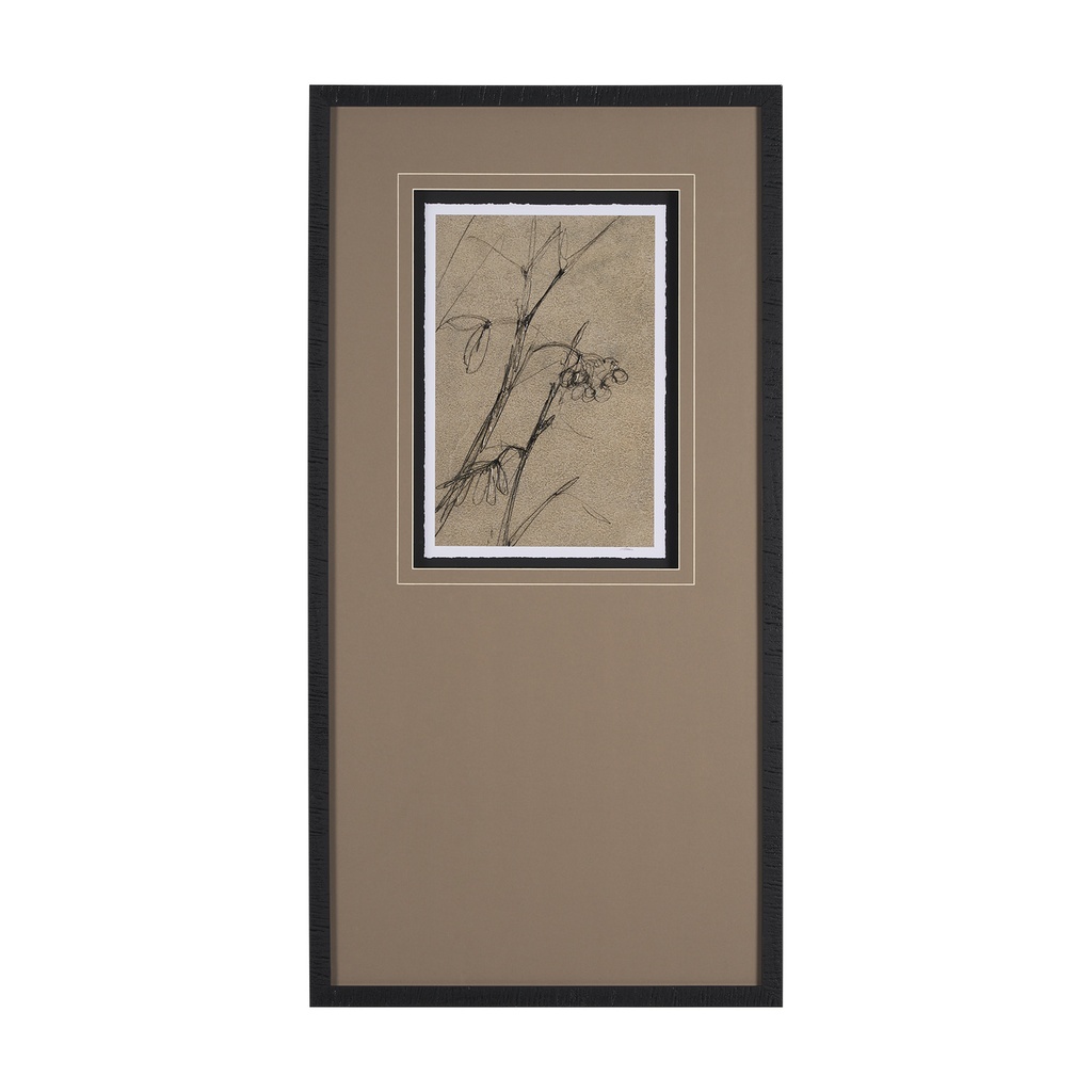Mercana Black Chokecherry 1