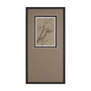 Mercana Black Chokecherry 1