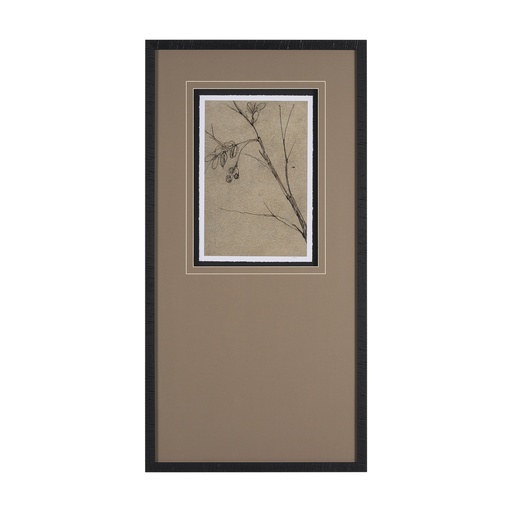 [TDH1798] Mercana Black Chokecherry 3
