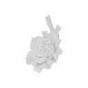 44-263_3__02566.webp