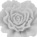 44-263_6__59604.webp