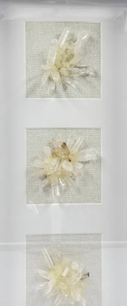 Cushions ECOM - 46.webp