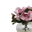 ZOOM ECOM - 16.webp