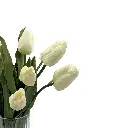 ZOOM ECOM - 3.webp