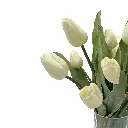 ZOOM ECOM - 4.webp