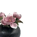 ZOOM ECOM - 8.webp