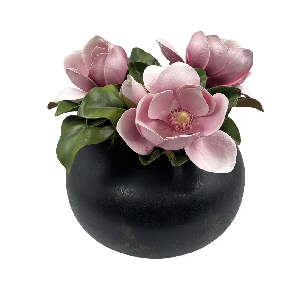 Soft Magnolia Cream Pink In Iron Pot