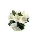 Soft Magnolia White In Ribbed Bowl