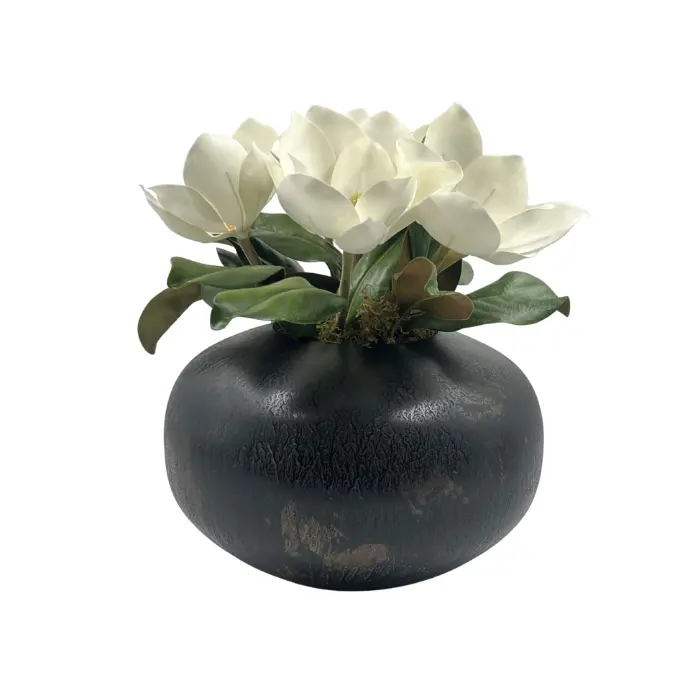 Soft Magnolia White In Iron Pot