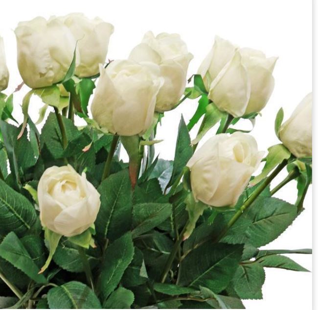 Rose Buds Lisa In Bucket