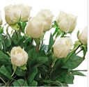 Rose Buds Lisa In Bucket