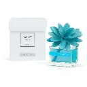 diffusore-fiore-brezza-marina-muha-r-shop-online-3.webp