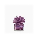 Muha Flower Diffuser Muschio & Fiori 30ml