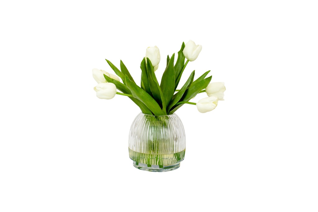 Soft Tulips 15"White In Ribbed Vase