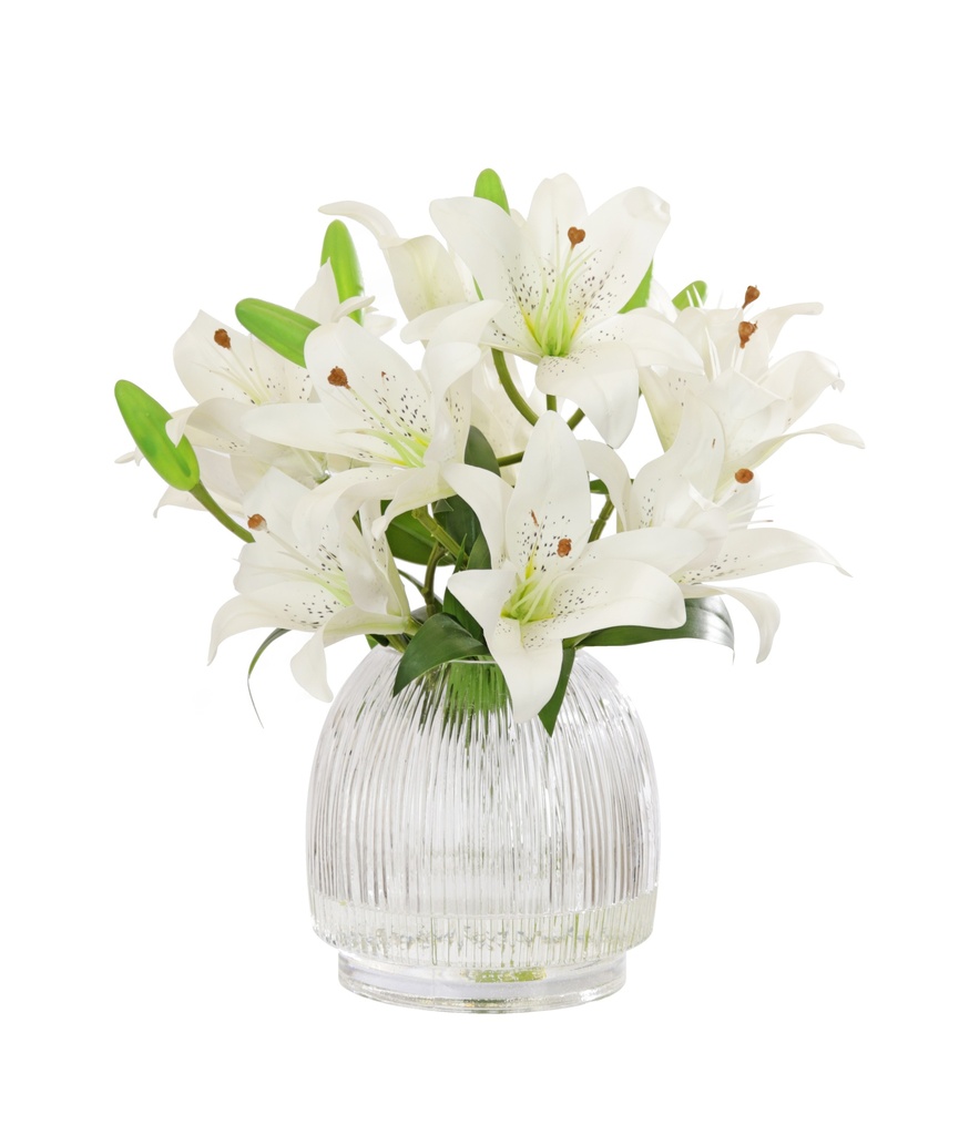 Soft Tiger Lily White In Ribbed Vase