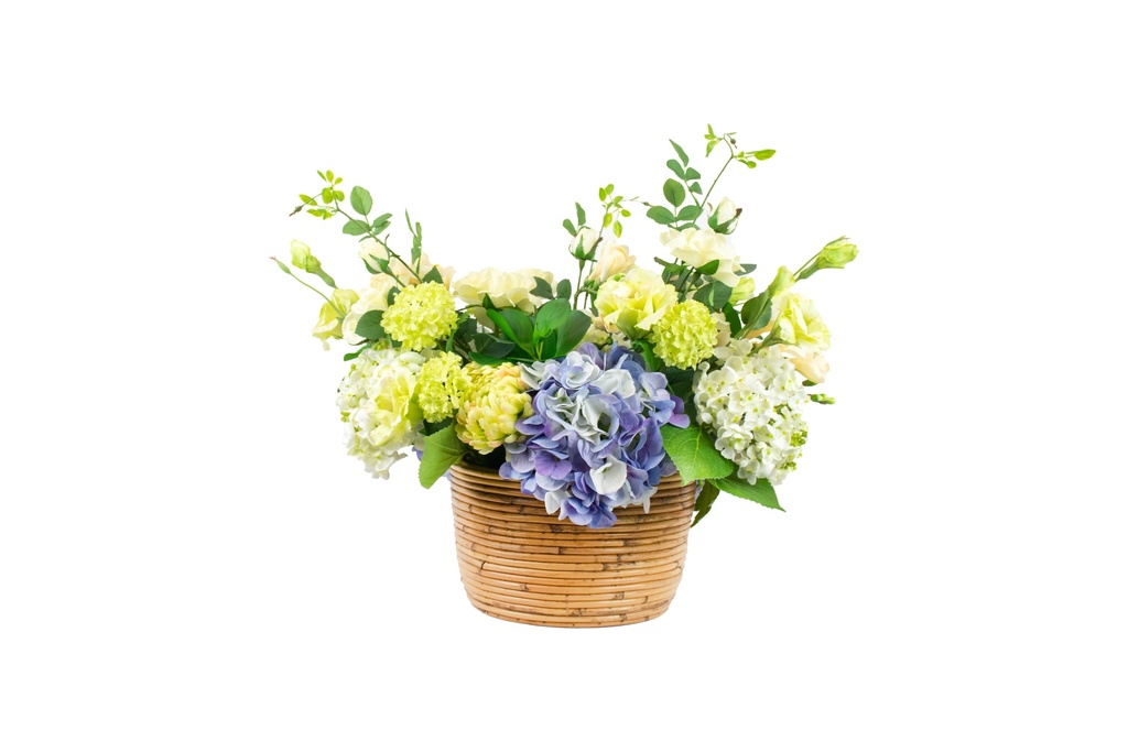 Soft Hydrangea Blue And White With Foliage In Basket