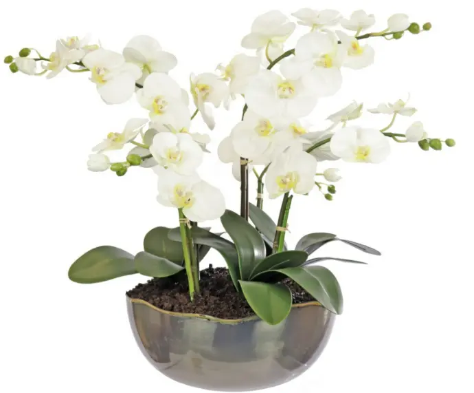 Soft Phalenopsis Orchid Mix In Iron Smelt Pot