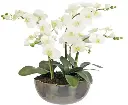 Soft Phalenopsis Orchid Mix In Iron Smelt Pot