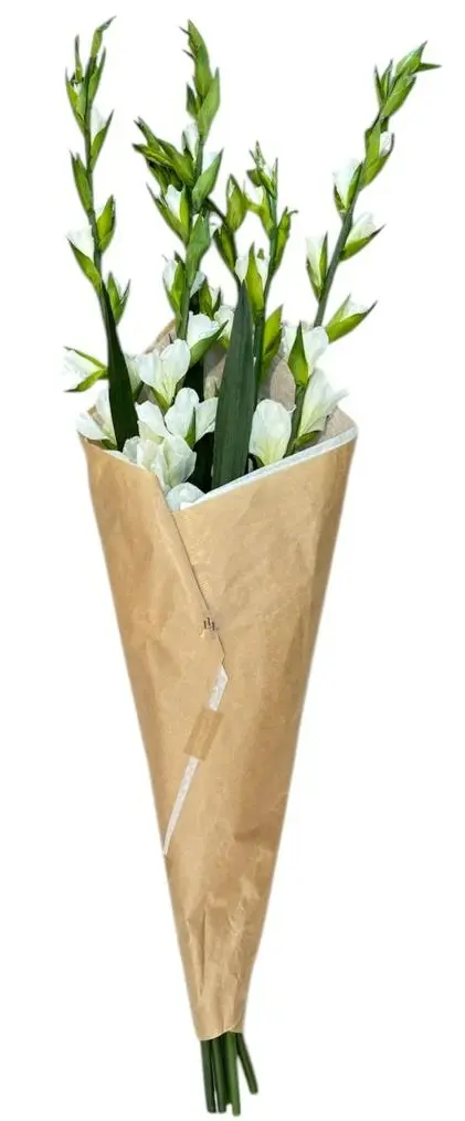 Laura Hammett White Gladiolas Spray , Large