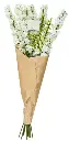Laura Hammett White Delphinium Spray , Large