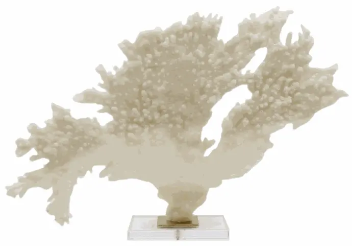 Soft Coral Polyresin With Acrylic Base