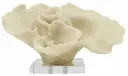 Soft Coral White Polyresin With Acrylic Base L