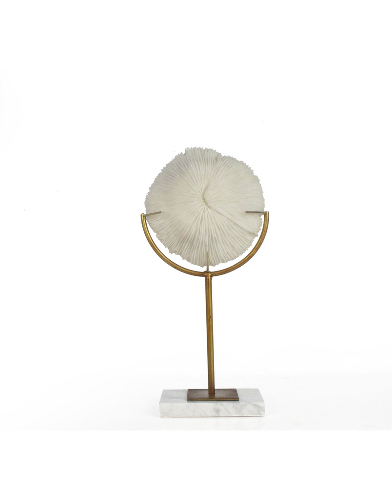 Soft Coral White With PL & MT & Marble Base -S