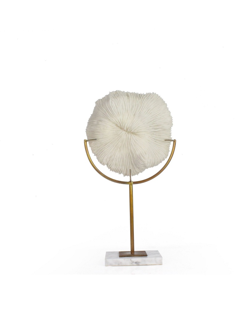 سوفت - ديكور مرجاني أبيض مع قاعدة رخامية - كبيرة