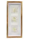 Soft Frozen Dewdrop Triptych