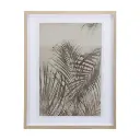 Mercana Shadows On Wood II 