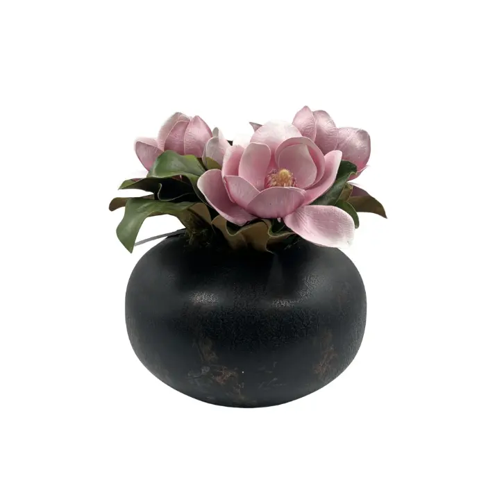 Soft Magnolia Cream Pink In Iron Pot