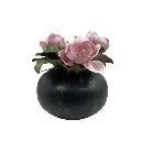 Soft Magnolia Cream Pink In Iron Pot
