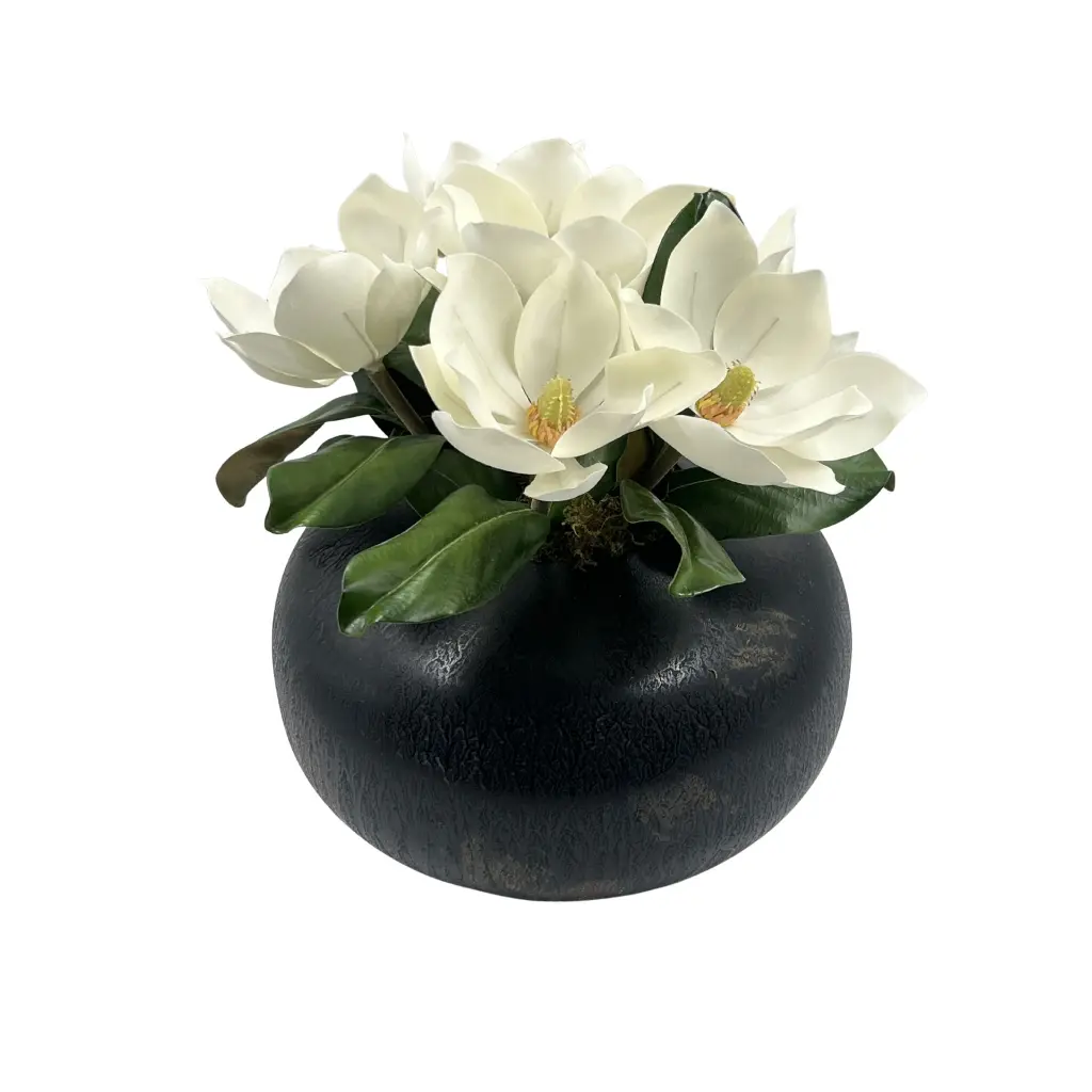 Soft Magnolia White In Iron Pot
