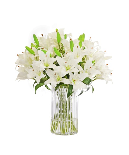 [TDH993] Soft Tiger Lily White In Ribbed Cylinder Vase