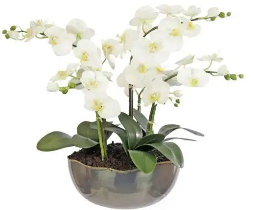 [TDH1010] Soft Phalenopsis Orchid Mix In Iron Smelt Pot