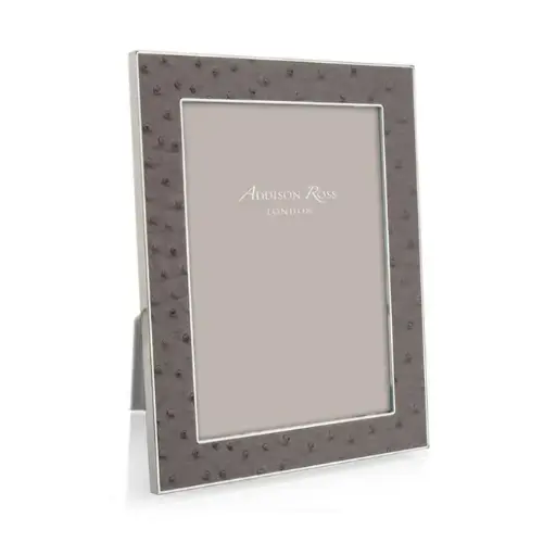 [TDH1179] Addison Ross Urban Ostrich & Silver Frame 5x7 