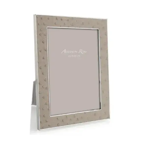 [TDH1180] Addison Ross Shadow Ostrich & Silver Frame  4x6