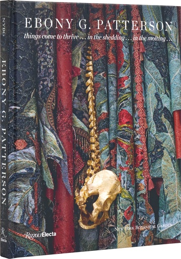 [TDH1211] Rizzoli Ebony G. Patterson 