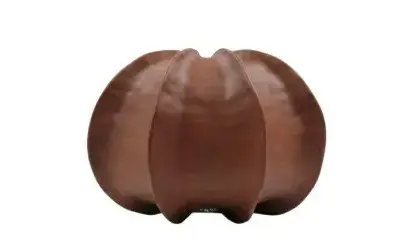 [TDH1228] Soft Ceramic Pumpkin Gourde Artistry Decor