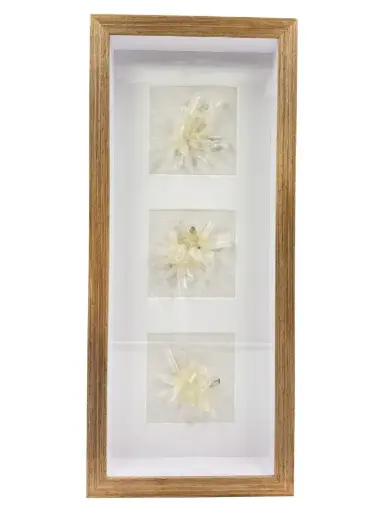 [TDH1277] Soft Decorative Wall Art White