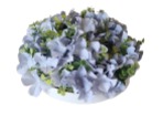 [TDH1342] Soft Flowers With Pot