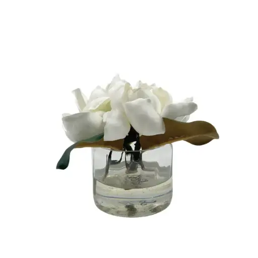[TDH1781] Soft Magnolia In Optic Cylinder Vase